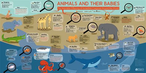 Animals and Their Babies #infographic - Visualistan