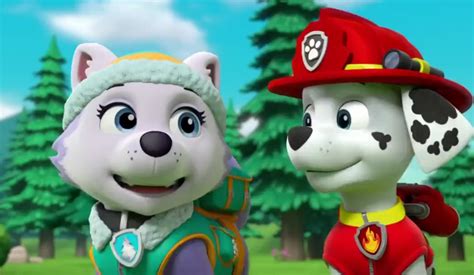 Marshall and Everest - PAW Patrol - Animated Couples Photo (40131001 ...