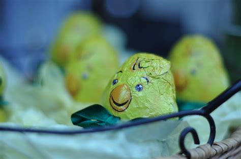 Nest of Easter Chicks | Nick Webb | Flickr