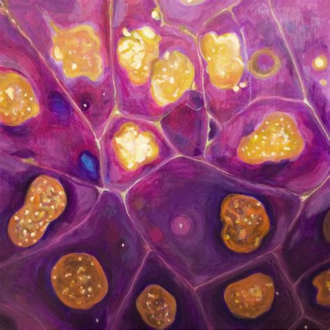 Janice Aitken Art: Paintings based on microscope images of stem cells ...