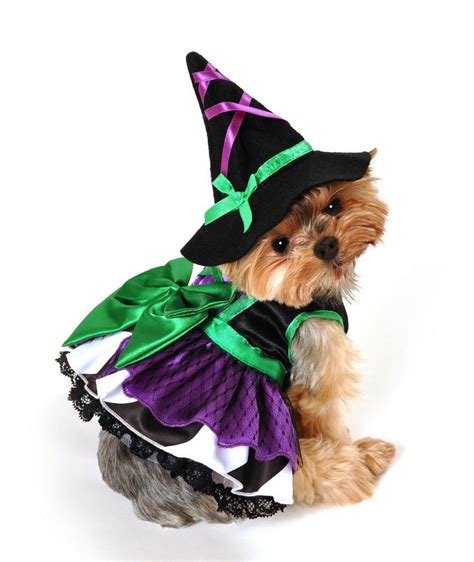 Scary Witch Dog Costume - Poochieheaven Pet Halloween Costumes, Dog Costumes, Halloween Witch ...