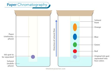 Paper Chromatography: Definition, Procedure, & Applications