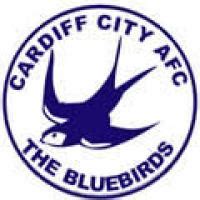 Historical Crests: Cardiff City FC – worldsoccerpins.com