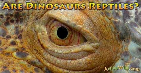 Are Dinosaurs Reptiles? Dinosaur Evolution & Classification For Students