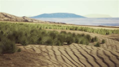 Flat desert with bush and grass 6295940 Stock Video at Vecteezy