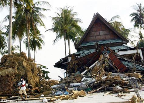 Forensic scientist relives Boxing day tsunami aftermath in Thailand | Daily Mail Online