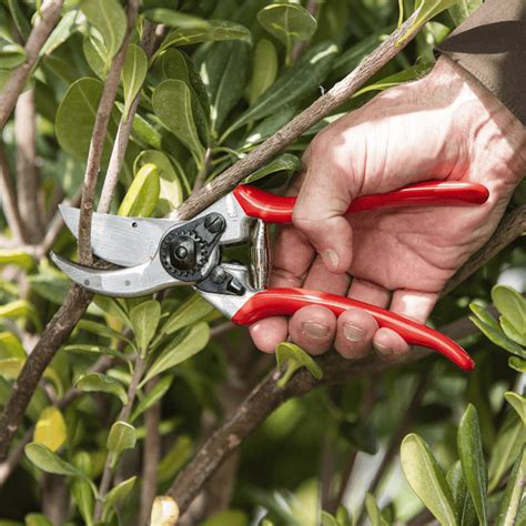 Felco 2 Pruner — OrchardValleySupply.com