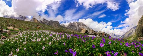 The Valley of Flowers | Uttarakhand Tourism