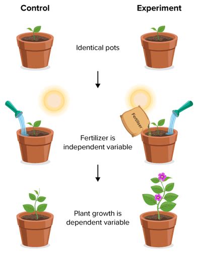 Science images