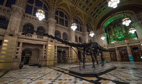 Dippy is unveiled at Kelvingrove Museum, Glasgow | Natural History Museum