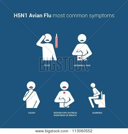 H5N1 Avian Flu Vector & Photo (Free Trial) | Bigstock