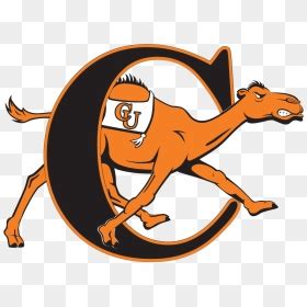 Campbell University Athletics Logo, HD Png Download - vhv