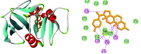 Molecular Docking: A Powerful Tool for Life Science Research – Quaxon ...