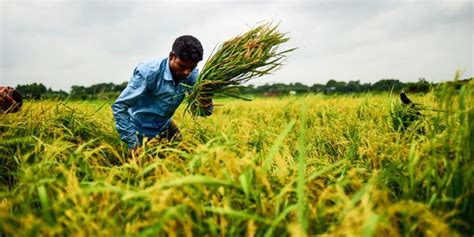 Climate Change in 2019: Reasons for Renewed Optimism