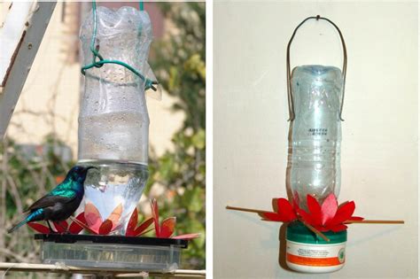 Easy Ideas for Bird Feeders DIY: Bird Water Feeder DIY