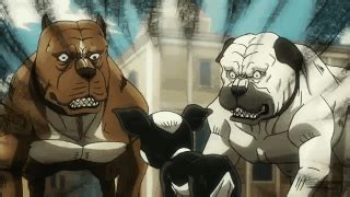 Iggy intimidates A Duo of Dogs | JoJo's Bizarre Adventure | Know Your Meme