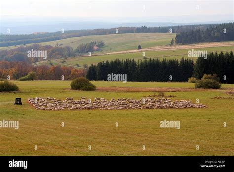 Bavarian rhoen nature park hi-res stock photography and images - Alamy