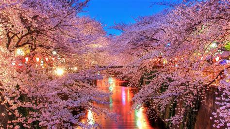 Sakura Desktop Wallpapers - Top Những Hình Ảnh Đẹp