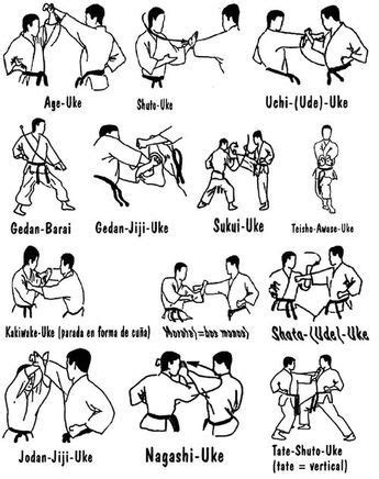 shotokan karate jka - Google Search | Shotokan karate, Karate martial arts, Martial arts sparring