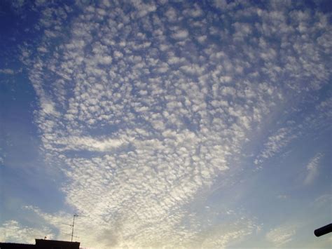 altocumulus clouds