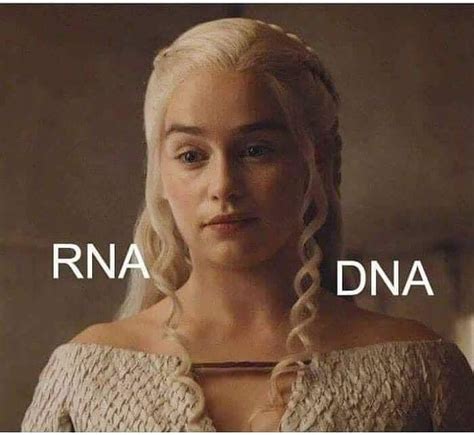 RNA is single-stranded and DNA is double-stranded. New Funny Memes ...