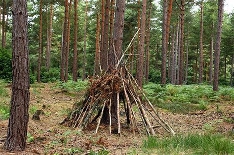 How to Build a Survival Shelter – Scout Life magazine