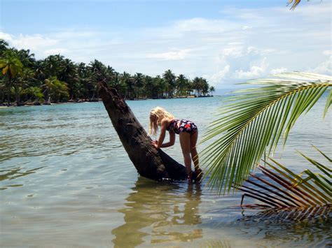 Caribbean Adventures: More starfish beach pics