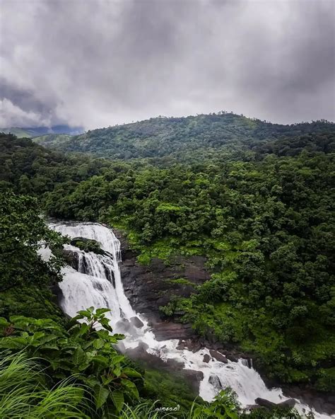 Coorg Resorts for Couples: 15 Best Options for a Romantic Getaway ...