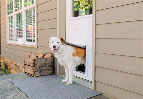 36 X 80 K900 Series White Vinyl Self-Storing Pet Storm Door With Black ...