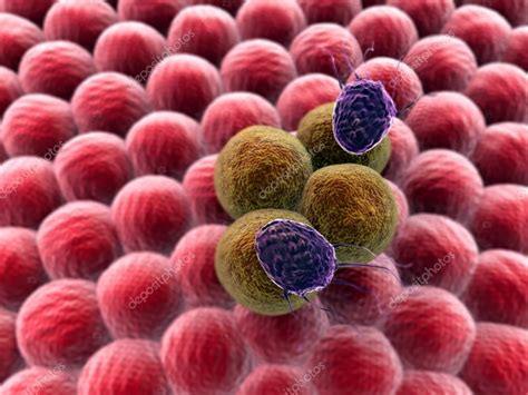 Cancer cells and Lymphocytes — Stock Photo © Ugreen #90864846