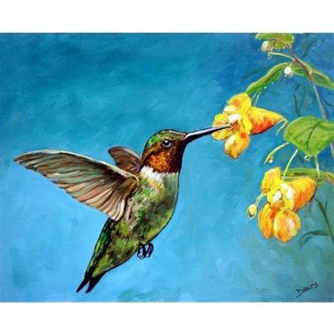 Hummingbird Bird Art Print of Original Painting by Dottie