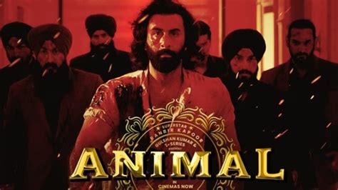 Production company claiming to be ‘Animal’ co-producer moves Delhi High ...