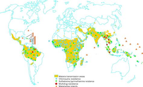 Epidemiology of drug-resistant malaria - The Lancet Infectious Diseases