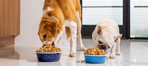 The Le Creuset Pet Collection | Le Creuset®