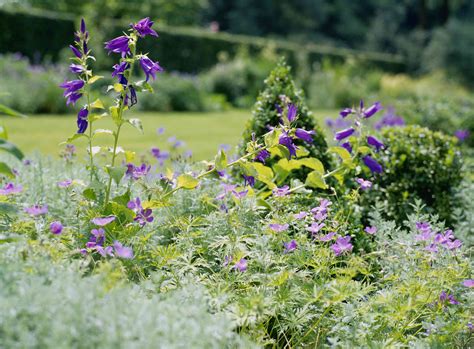 15 Summer Flower Garden Border Ideas