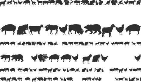 Farm & Wild Animals Font : Download Free for Desktop & Webfont