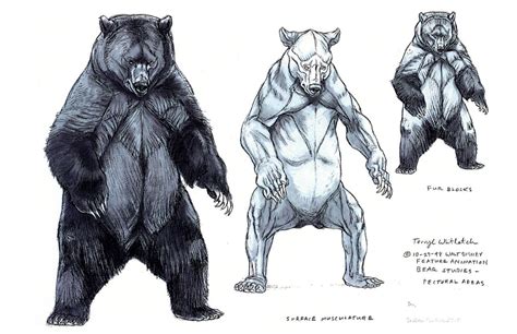 grizzly bear skeleton - Google Search Animal Sketches, Animal Drawings ...