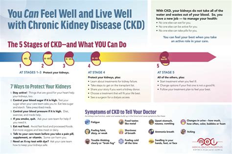 You Can Feel Well and Live Well with Chronic Kidney Disease (CKD ...