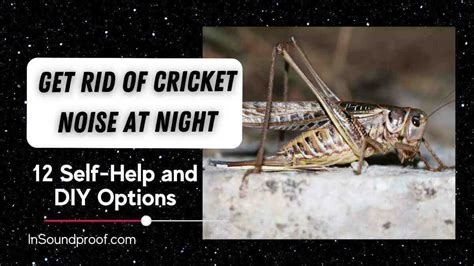 How To Get Rid Of Cricket Noise At Night- 12 Best Options - In Soundproof