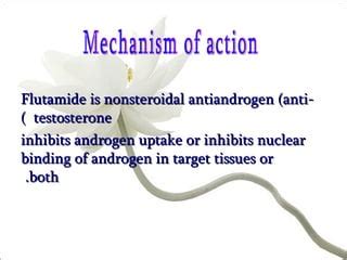 Flutamide | PPT