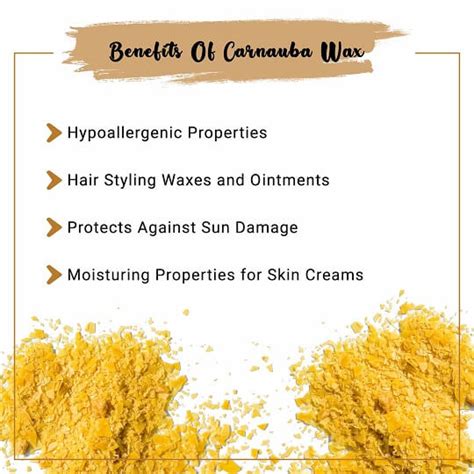 Buy Organic Carnauba Wax Online in India | Carnauba Wax - Bulk Manufacturer – VedaOils.com