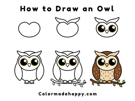 How To Draw A Cute Owl