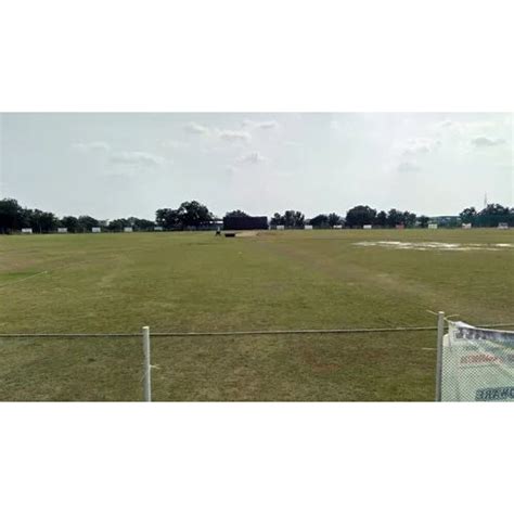 Green Natural Grass For Cricket Ground at Best Price in Hyderabad | 4k ...