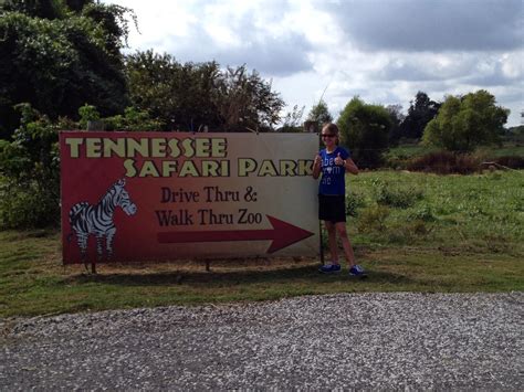 Fun Thoughts on Life, The Weather, and All Things Groovy : Tennessee Safari Park Review