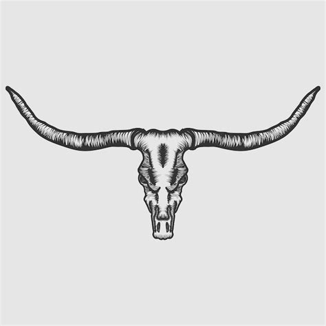 Longhorn skull vector Vector | Premium Download