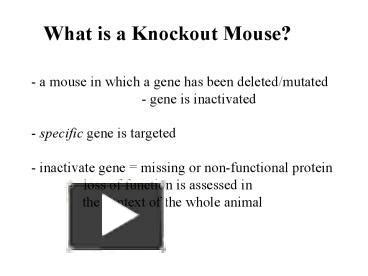 PPT – What is a Knockout Mouse PowerPoint presentation | free to view - id: 24ca0d-ZjkwN