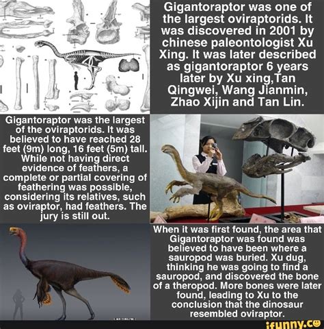 Gigantoraptor was one of the largest oviraptorids. It was discovered in 2001 by chinese ...