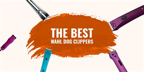 Top 5 Best Wahl Dog Clippers – Reviews and Competitors