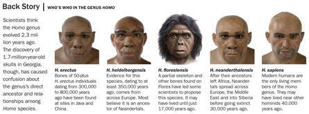 Ancient DNA suggests new hominid line | Human evolution, Ancient people ...