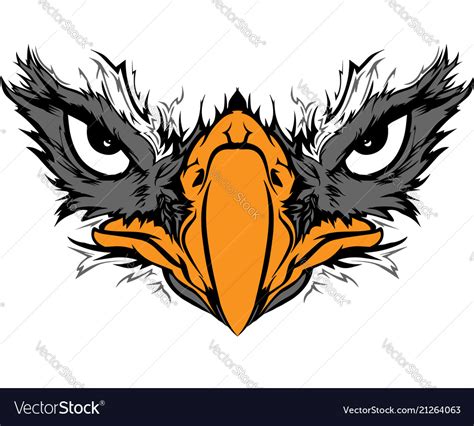 Eagle eyes Royalty Free Vector Image - VectorStock